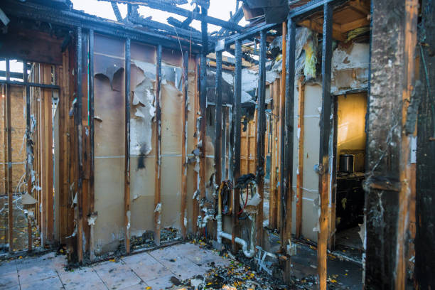 Professional Fire Damage Removal technician working in Smithsburg, MD